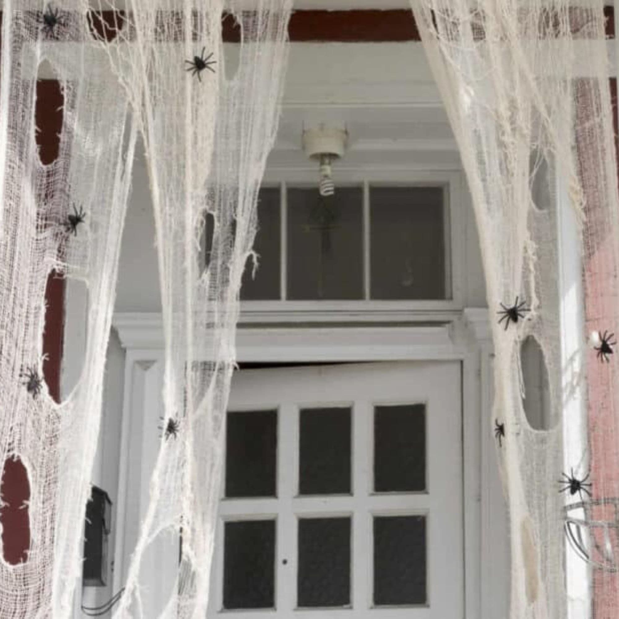Serena's porch is covered in spider webs with spiders.